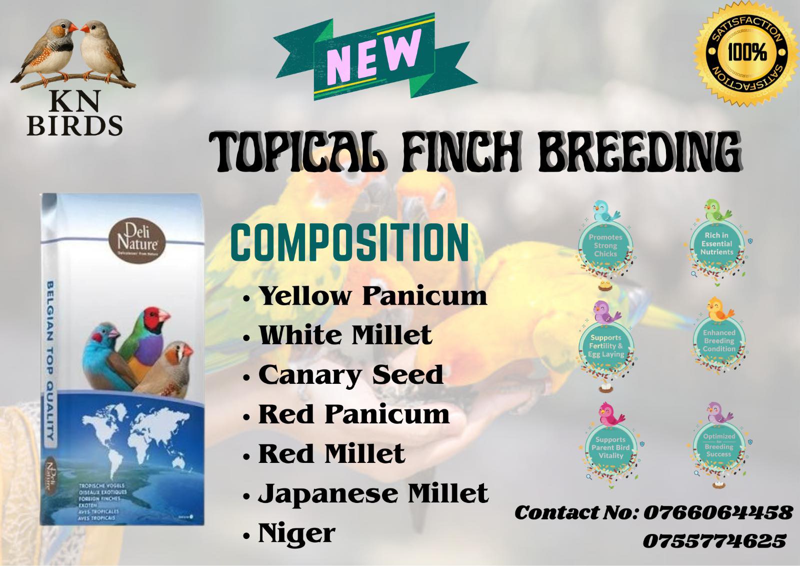 Topical Finch Breeding - health