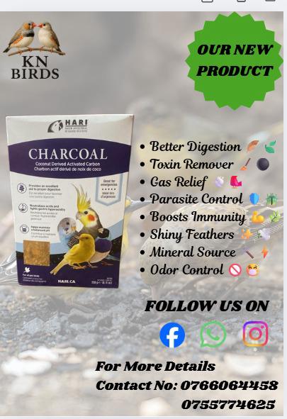 Charcoal - health
