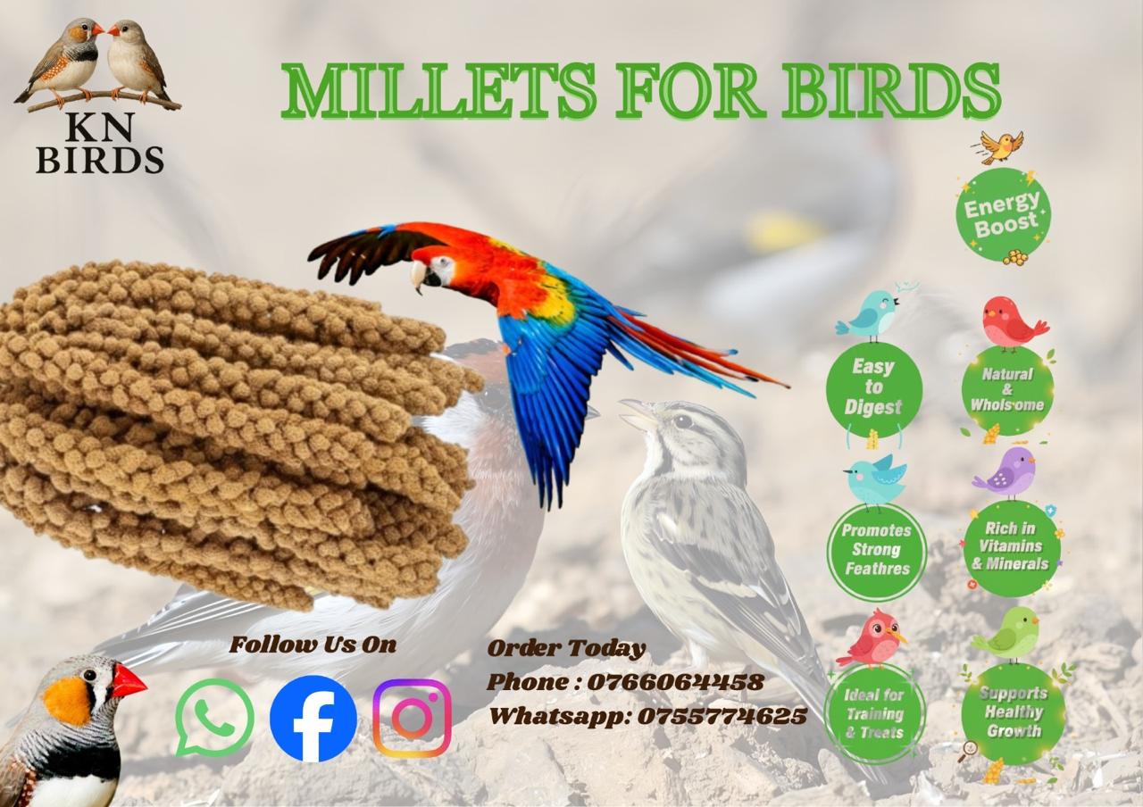 MILLETS - health